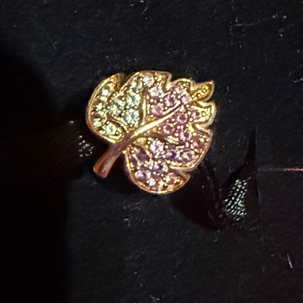 Pandora Charm leaf charm with Jewelry Box BRAND NEW
